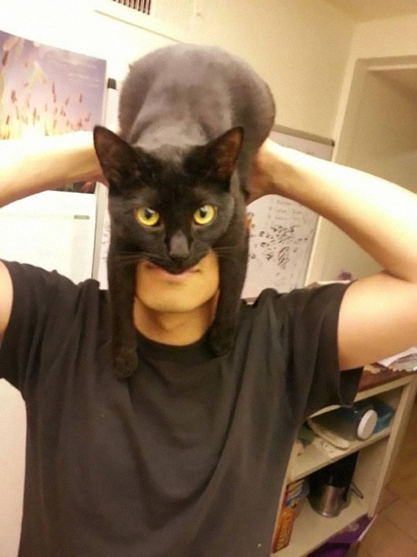 batman-cat-mask-1