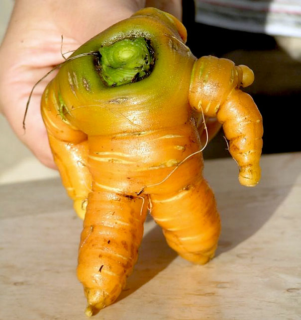 funny-shaped-vegetables-fruits-2