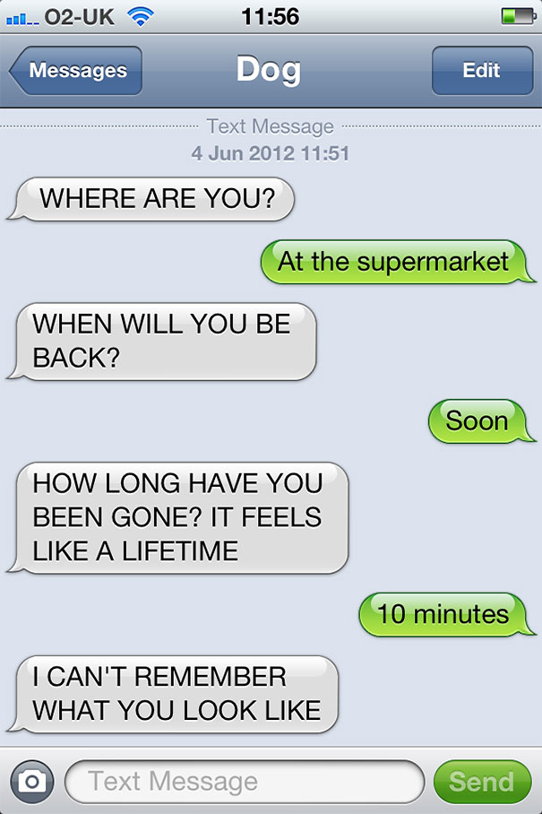 What If Dogs Could Text 25 Hilarious Texts From Dogs Bored Panda