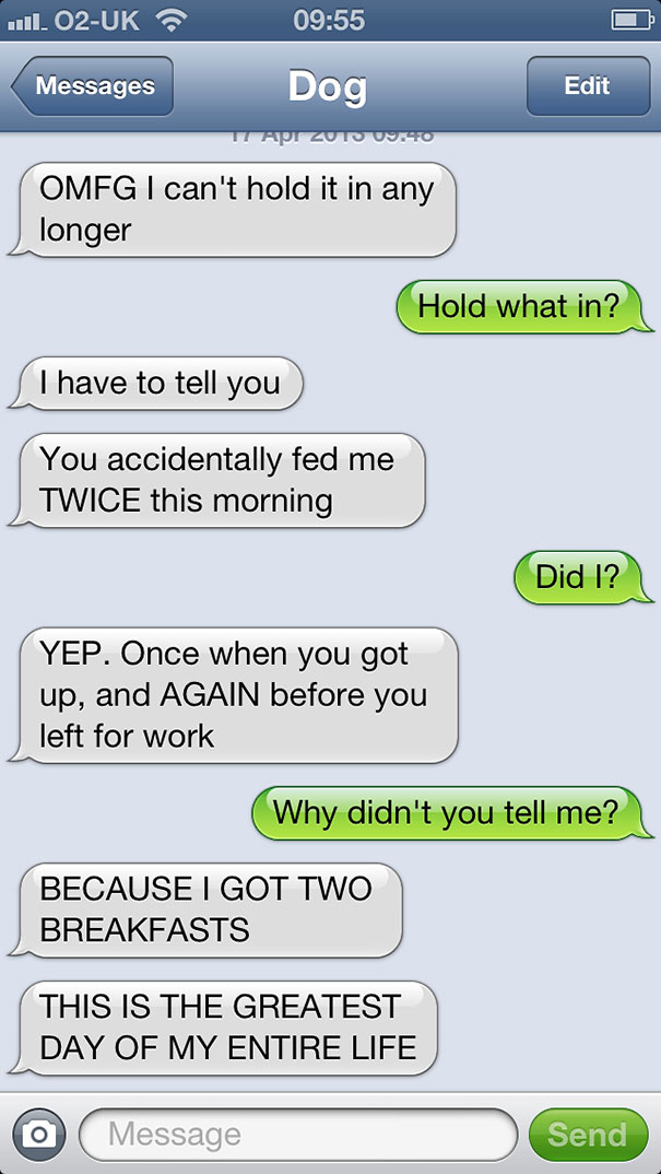 What If Dogs Could Text 25 Hilarious Texts From Dogs Bored Panda