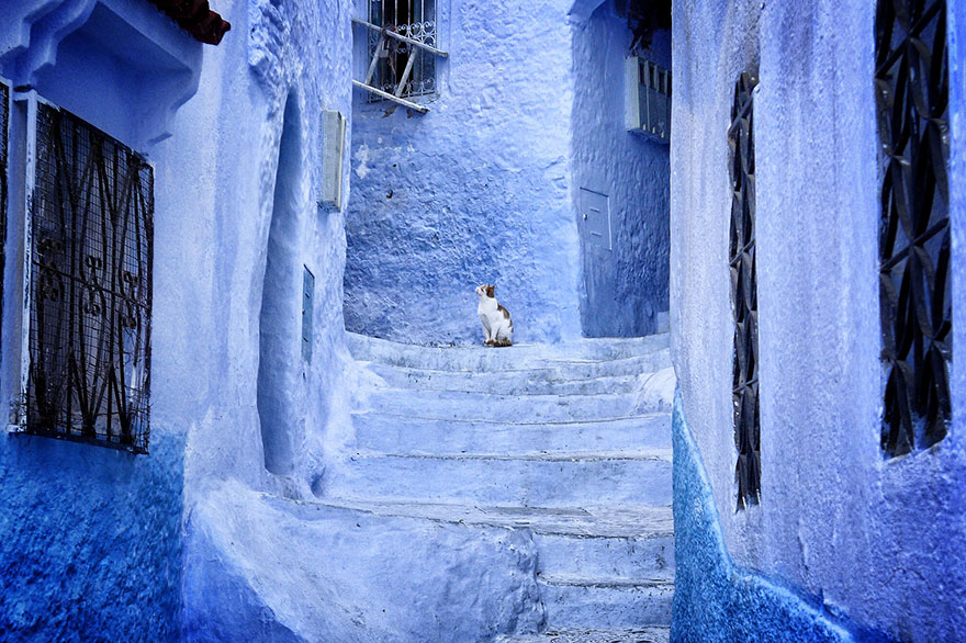 blue-streets-of-chefchaouen-morocco-4