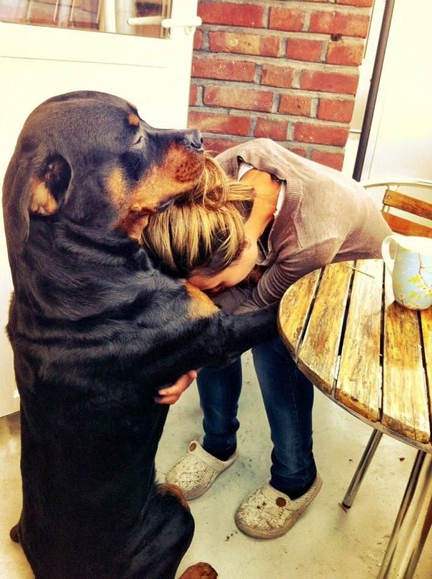 rottweiler hugging girl