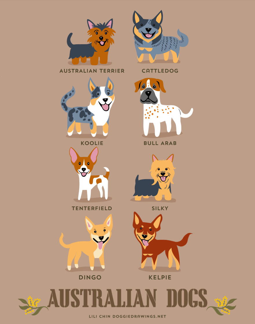 Dogs-Of-The-World-Cute-Poster-Series-Shows-The-Geographic-Origin-Of-Dog-Breeds2__880.jpg
