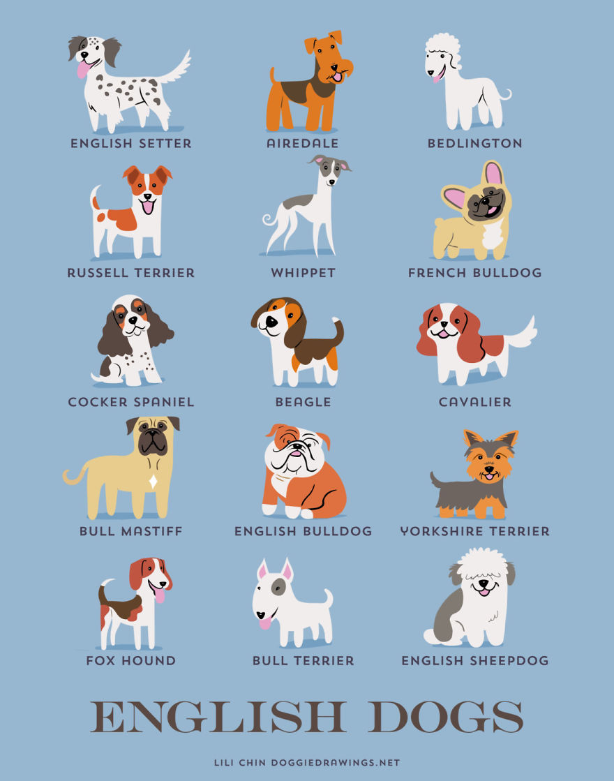 Dogs-Of-The-World-Cute-Poster-Series-Shows-The-Geographic-Origin-Of-Dog-Breeds5__880.jpg