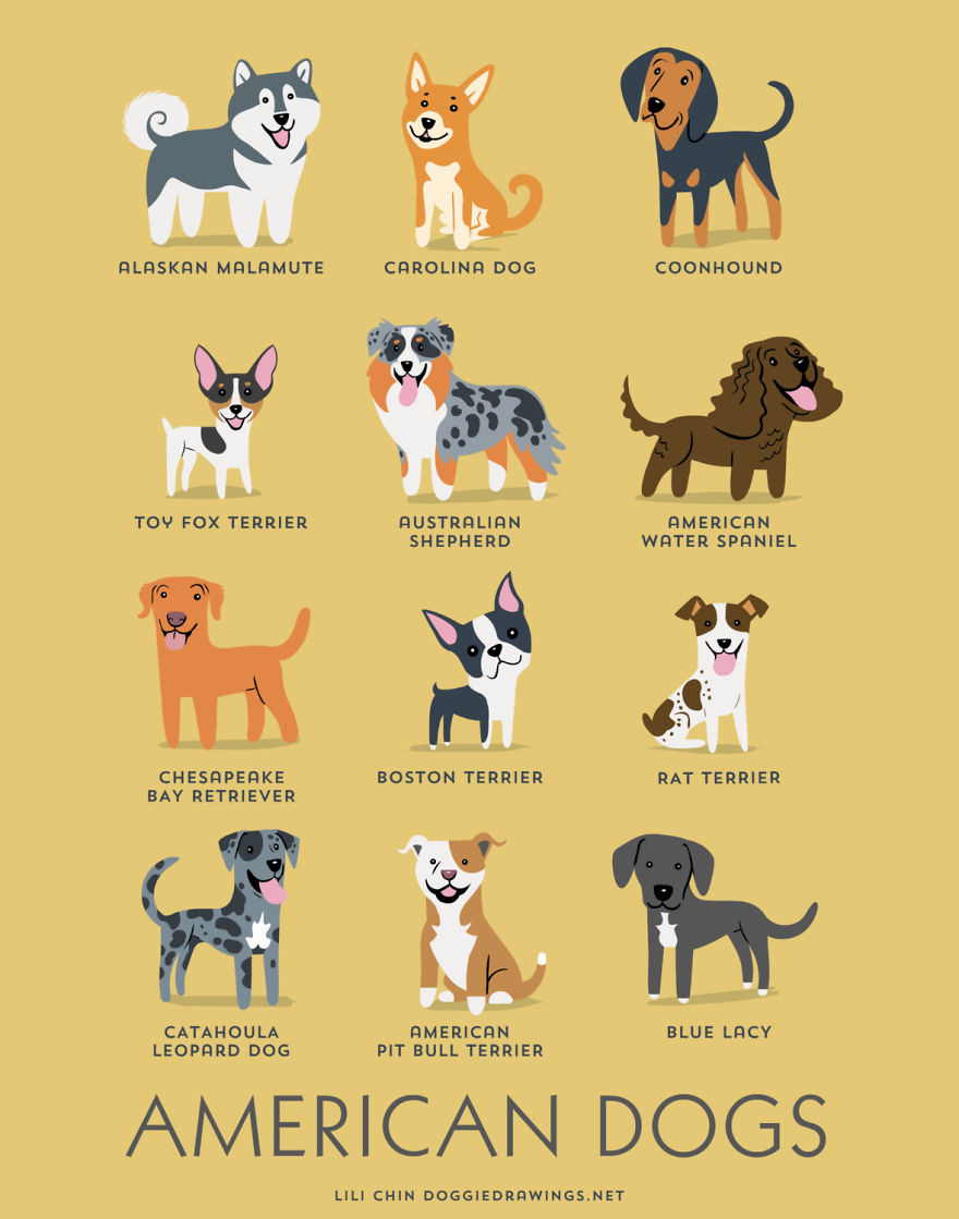 Dogs-Of-The-World-Cute-Poster-Series-Shows-The-Geographic-Origin-Of-Dog-Breeds__880.jpg