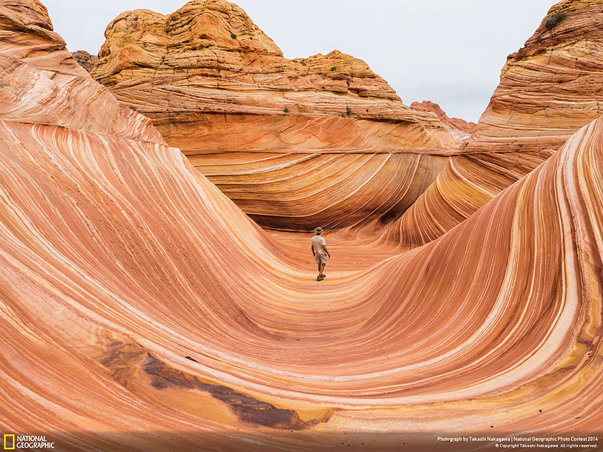 21 Of The Best Nature Photo Entries To The 2014 National Geographic