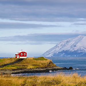 Little Red House, Iceland