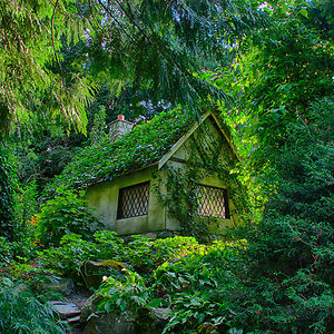 Hidden Forest House