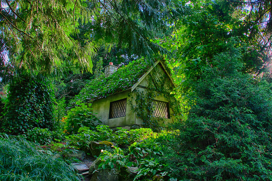 Hidden Forest House