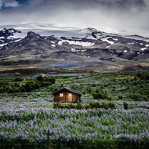 Icelandic Mountain Meadow Retreat