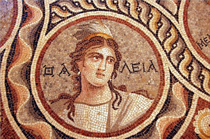ancient-greek-mosaic-excavation-zeugma-13
