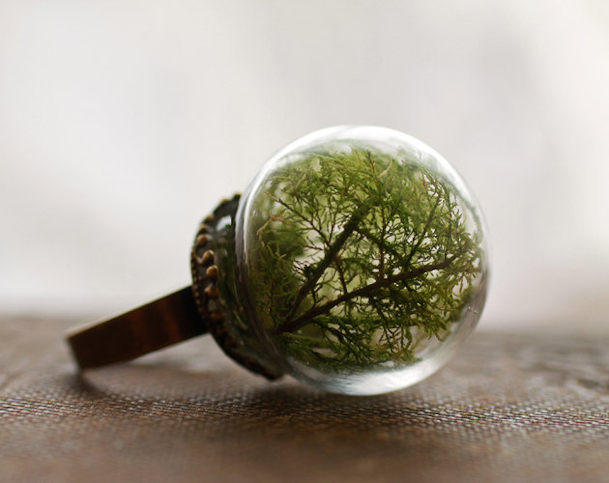 Moss Globe Ring