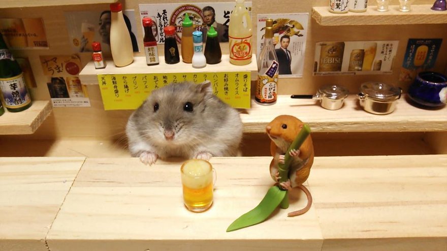 http://static.boredpanda.com/blog/wp-content/uploads/2014/11/hamster-bartender-miniature-bar-kawanabesatou-15.jpg
