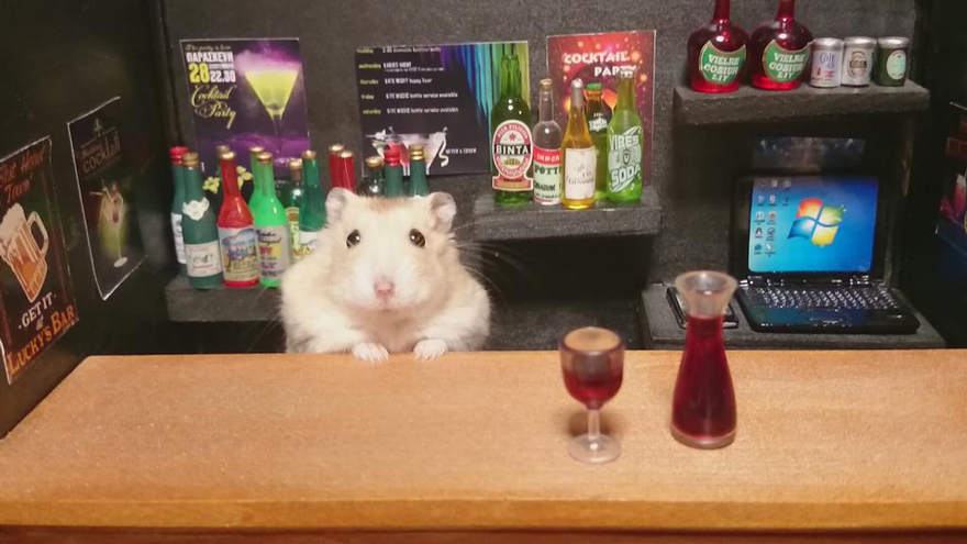 http://static.boredpanda.com/blog/wp-content/uploads/2014/11/hamster-bartender-miniature-bar-kawanabesatou-22.jpg