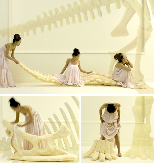 Dinosaur Bone Pillows