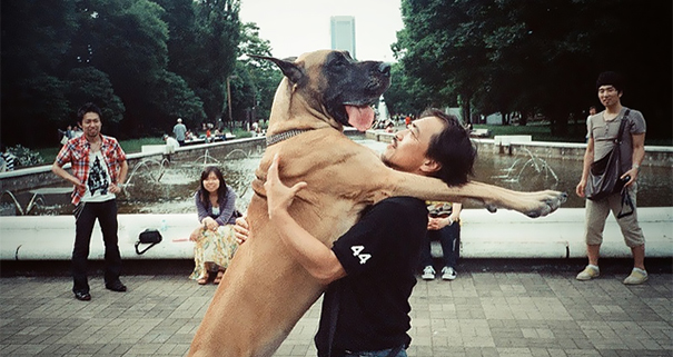 http://static.boredpanda.com/blog/wp-content/uploads/2015/01/cute-dogs-hugging-humans-93__605.jpg