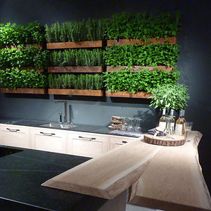 Herb Garden Kitchen Wall | Bored Panda