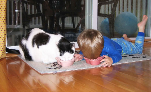 kids-act-like-animals-eating-cat-food__6