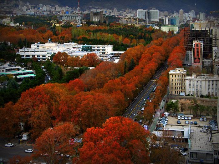 Valiasr Street - Tehran