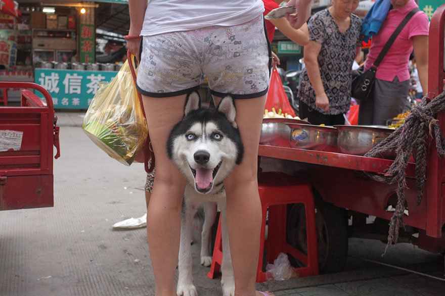 1self-taught-perfectly-timed-street-photography-china-tao-liu-32