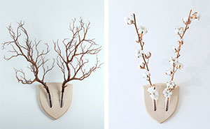 Forget Dead Animals - Bring Your Walls To Life With This Plant Wall Trophy