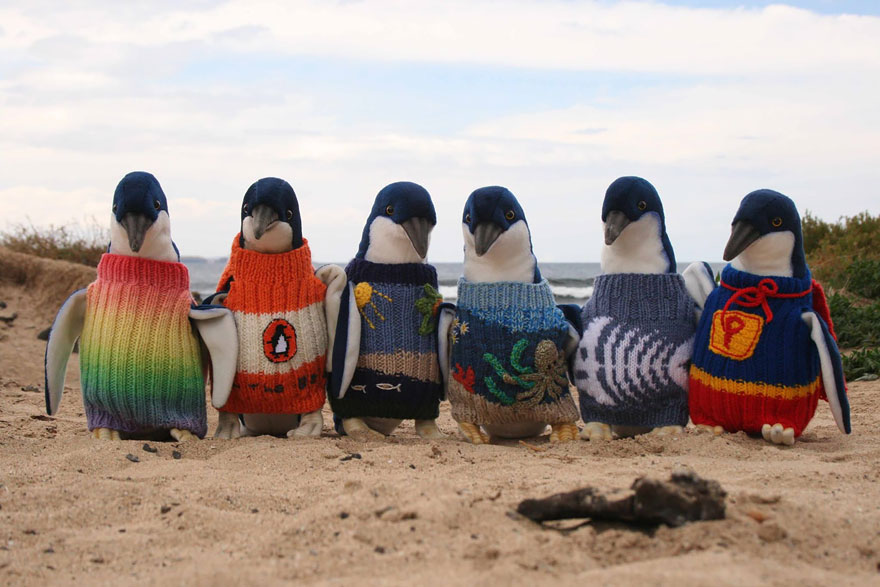Toy penguins modelling trendy jumpers