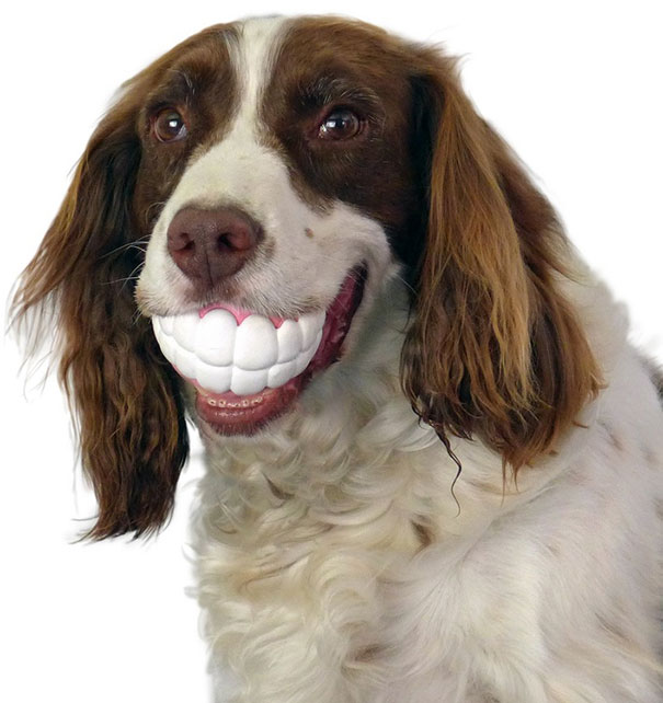Funny Teeth-shaped Ball