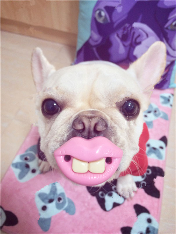 Pink Lips And Teeth Pet Toy