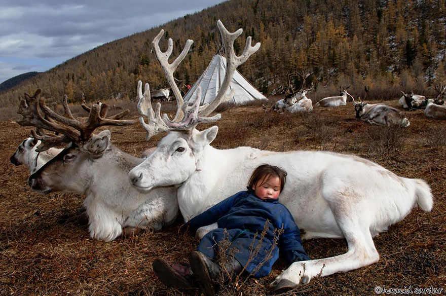 reindeer-people-hamid-sardar-afkhami-1