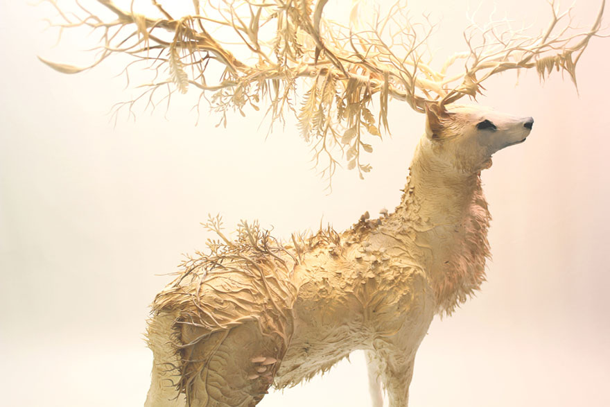 http://static.boredpanda.com/blog/wp-content/uploads/2015/03/surreal-animal-sculptures-ellen-jewett-11.jpg