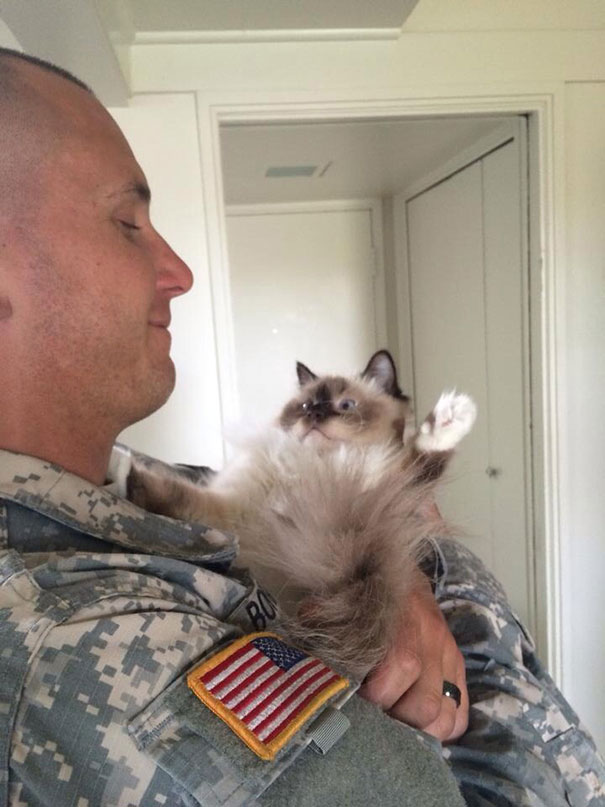 艰难的士兵他的小猫