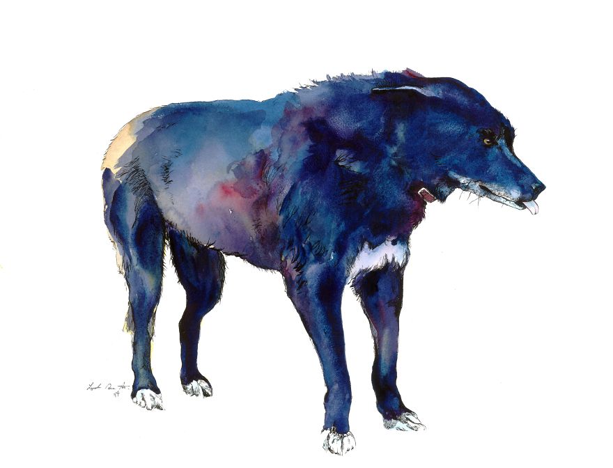 Wolfdog_large_print_2014__880
