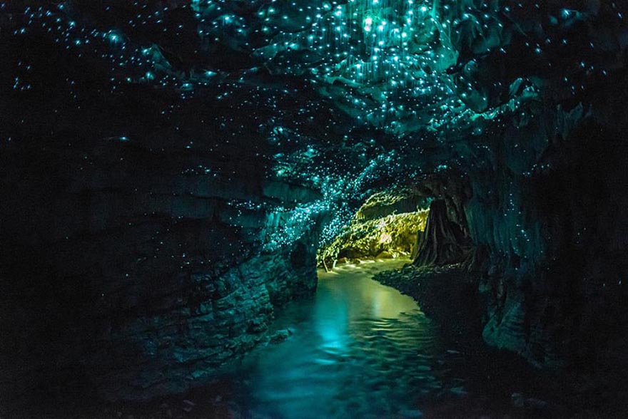 Glowworms Cave in New Zealand