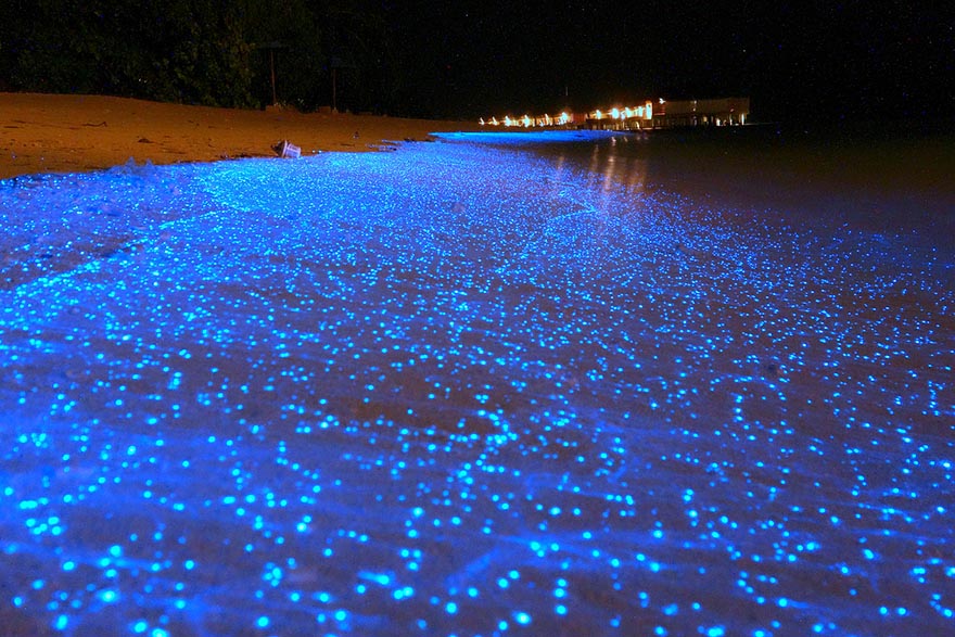 Glowing Beach In Maldives