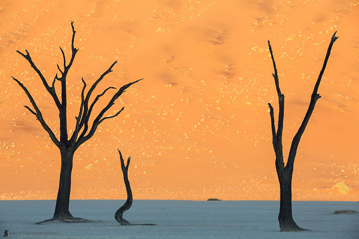 Namib Desert, Namibia