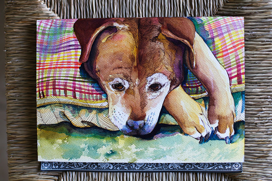 animal-watercolor-pencil-paintings-janie-stapleton-3