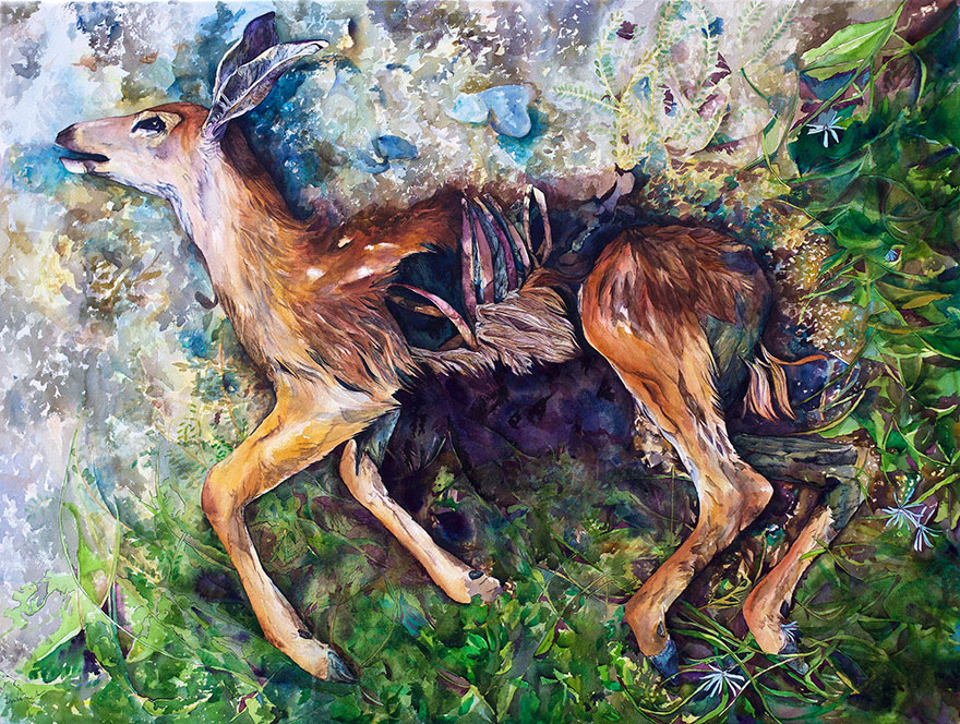 animal-watercolor-pencil-paintings-janie-stapleton-6