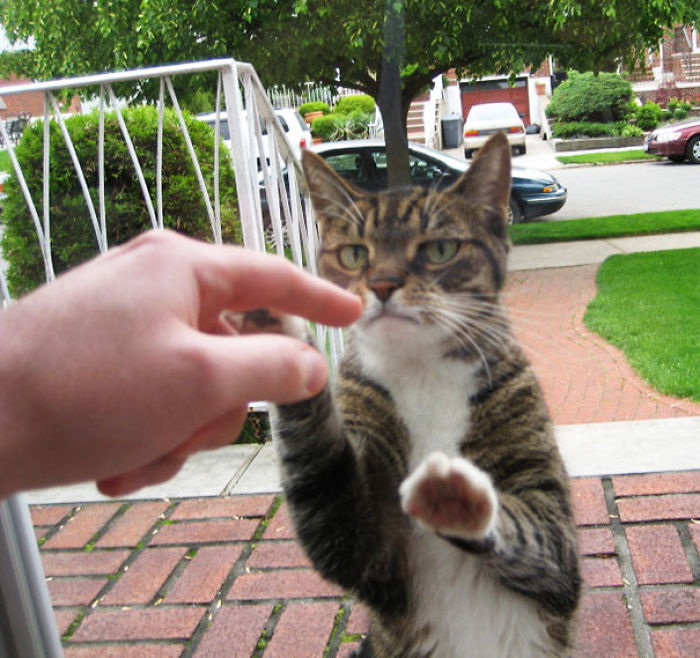 Let Me In!