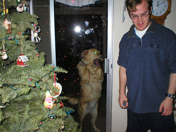 Let Me In, God Damn It!