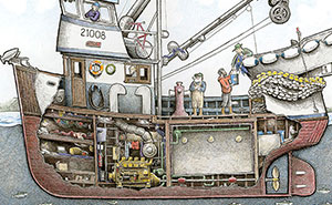 Peek Below Ship Decks In Illustrations Inspired By My Time At Sea