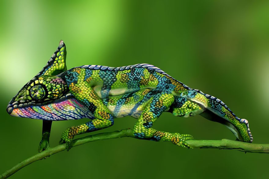 chameleon-body-painting-optical-illusion-johannes-stotter