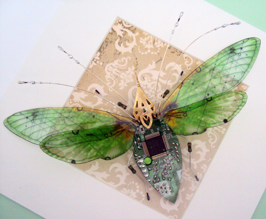 circuit-board-winged-insects-dew-leaf-julie-alice-chappell-11