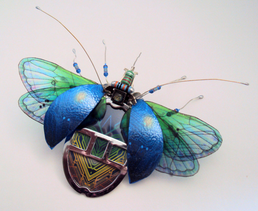 circuit-board-winged-insects-dew-leaf-julie-alice-chappell-12