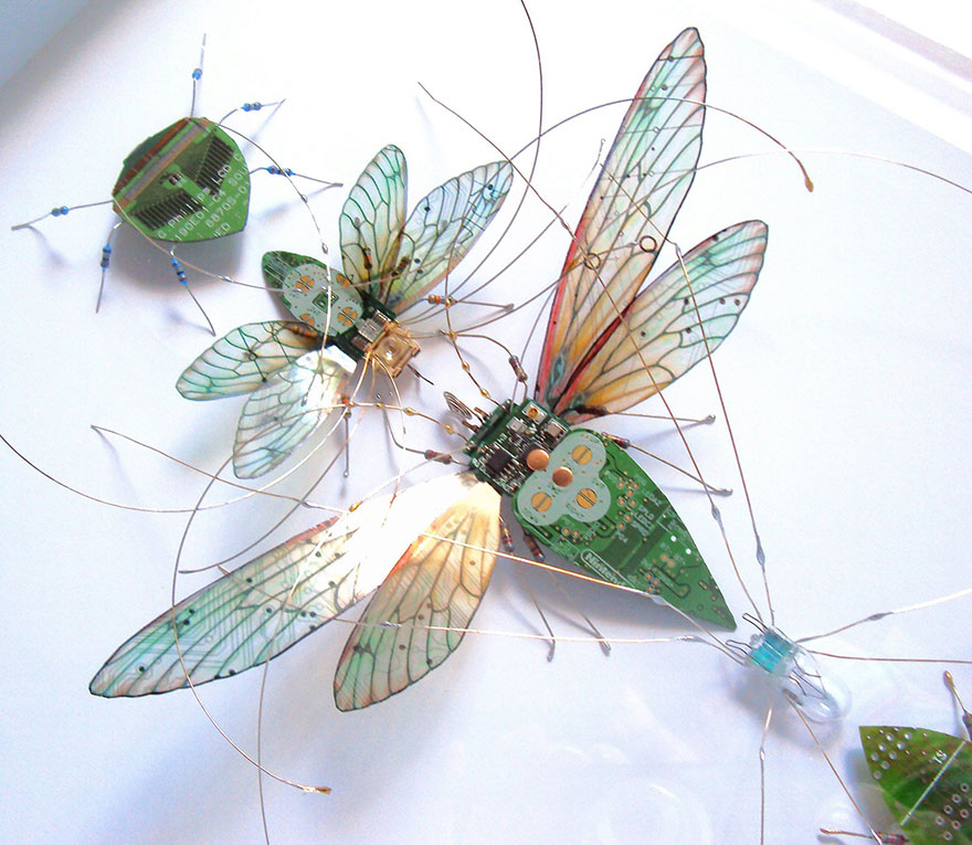 circuit-board-winged-insects-dew-leaf-julie-alice-chappell-20