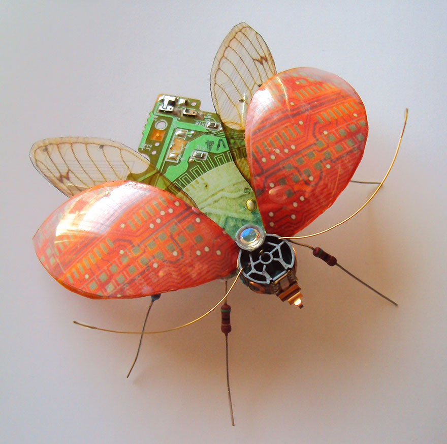 circuit-board-winged-insects-dew-leaf-julie-alice-chappell-25