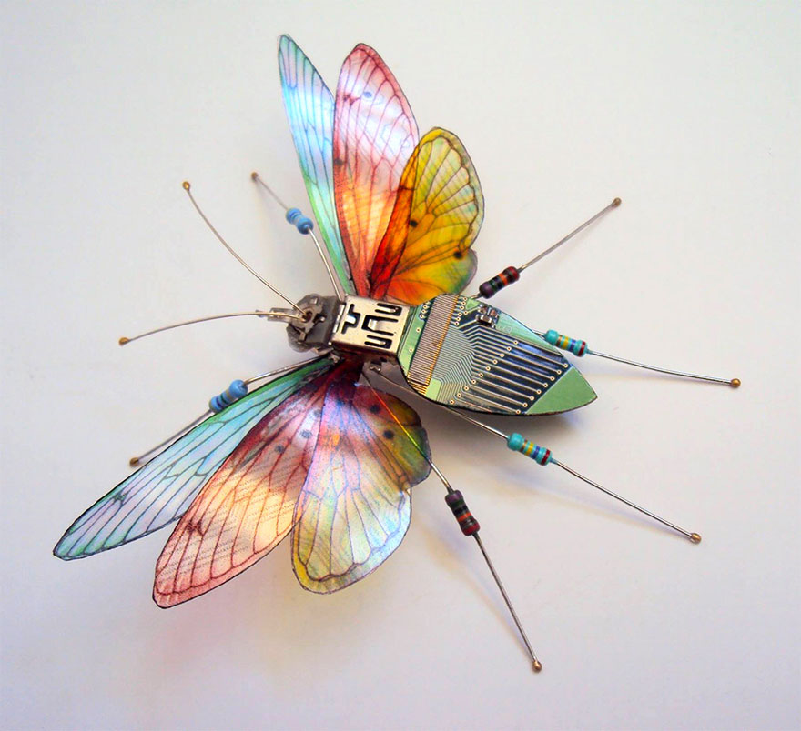circuit-board-winged-insects-dew-leaf-julie-alice-chappell-6