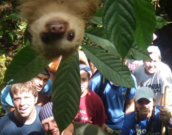 Funny Animal Photobombs