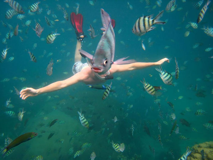 Funny Animal Photobombs