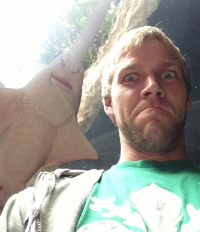 Funny Animal Photobombs