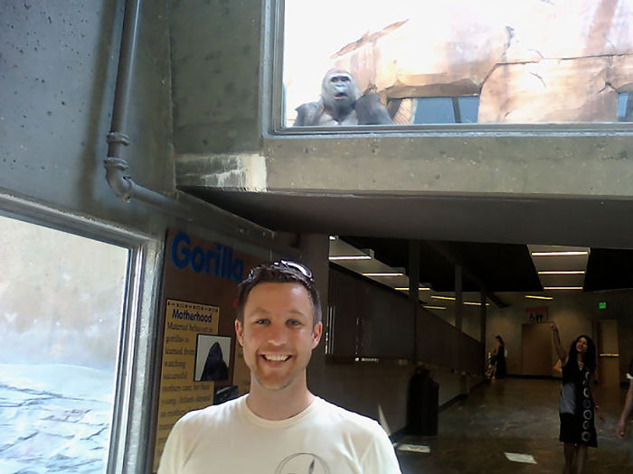 Funny Animal Photobombs
